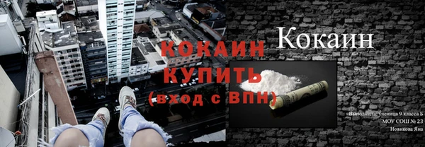 дмт Ростов