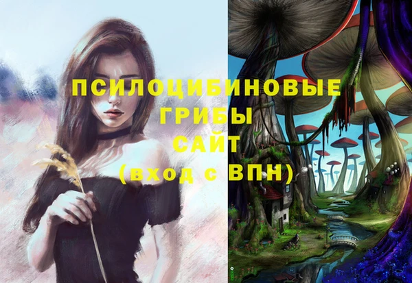 не бодяженный Краснотурьинск