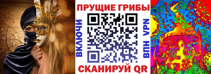 Галлюциногенные грибы Psilocybine cubensis  как найти закладки  Минеральные Воды 