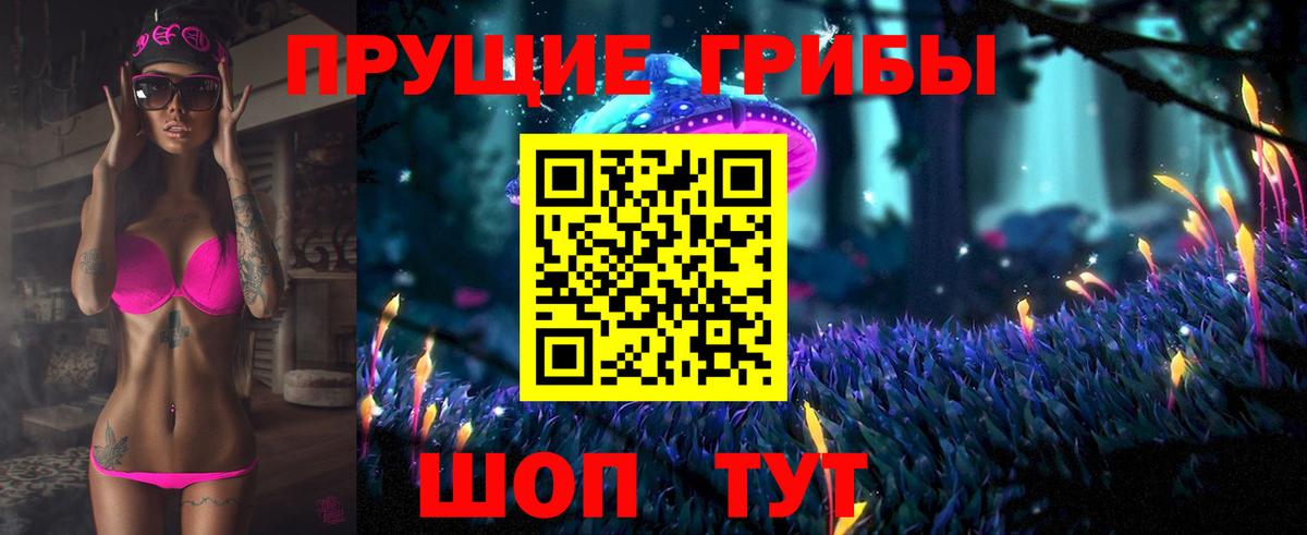 Псилоцибиновые грибы прущие грибы Минеральные Воды
