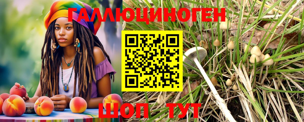 Псилоцибиновые грибы Magic Shrooms  Минеральные Воды  Галлюциногенные грибы Magic Shrooms 