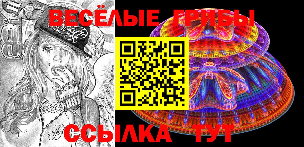 Псилоцибиновые грибы мухоморы Минеральные Воды